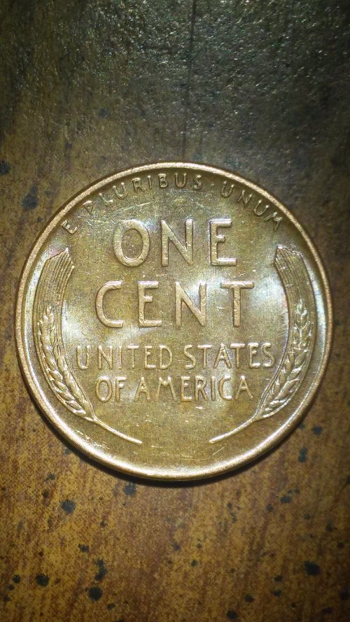 My-1955-S-Wheat-Penny-Its-Quite-Bright-And-Reflective